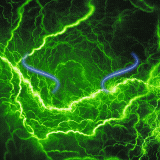 เซิฟ บริการเช่น ce / bot ranonline