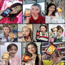 เซิฟ 88pink