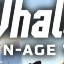 เซิฟ WhaleFall Guhuo