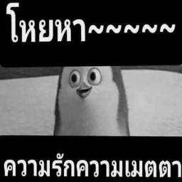 เซิฟ 【.:: WARZ Elevenz ::.】 PVP และ FARM เกราะเหล็ก!!