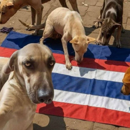 เซิฟ Hacked By NOTCTBER